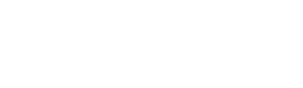 Insight Education Group